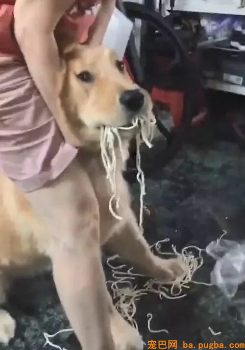 网友买了点生面，一转眼就不见了，果不其然......-3.jpg