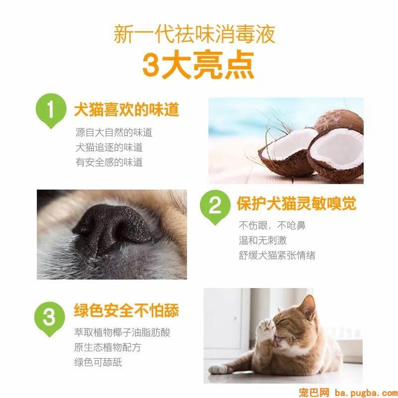 主人清扫完卫生后小金毛频繁呕吐，主人：我做错了什么？-11.jpg