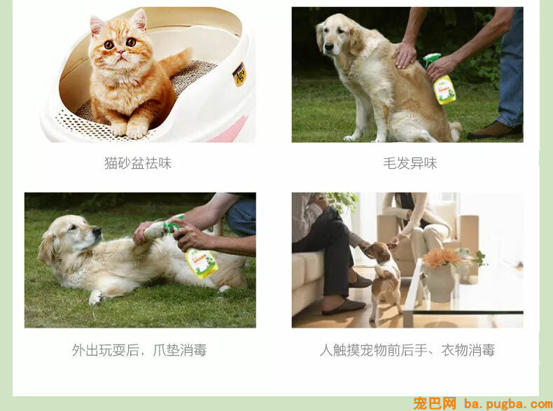 主人清扫完卫生后小金毛频繁呕吐，主人：我做错了什么？-13.jpg