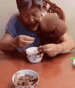 不能再纵容！有些奶奶养的狗已经瘫了...-10.gif