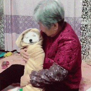 不能再纵容！有些奶奶养的狗已经瘫了...-14.gif
