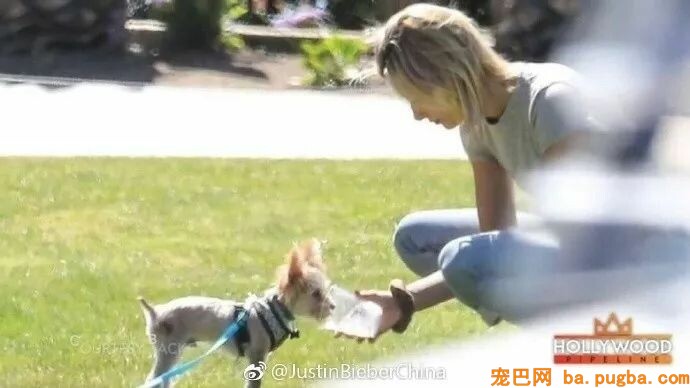妈妈遛狗vs爸爸遛狗哈哈哈哈哈哈哈果然不能让爹带孩子！-2.jpeg