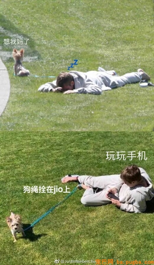 妈妈遛狗vs爸爸遛狗哈哈哈哈哈哈哈果然不能让爹带孩子！-3.jpeg