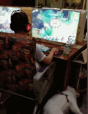 妈妈遛狗vs爸爸遛狗哈哈哈哈哈哈哈果然不能让爹带孩子！-11.gif