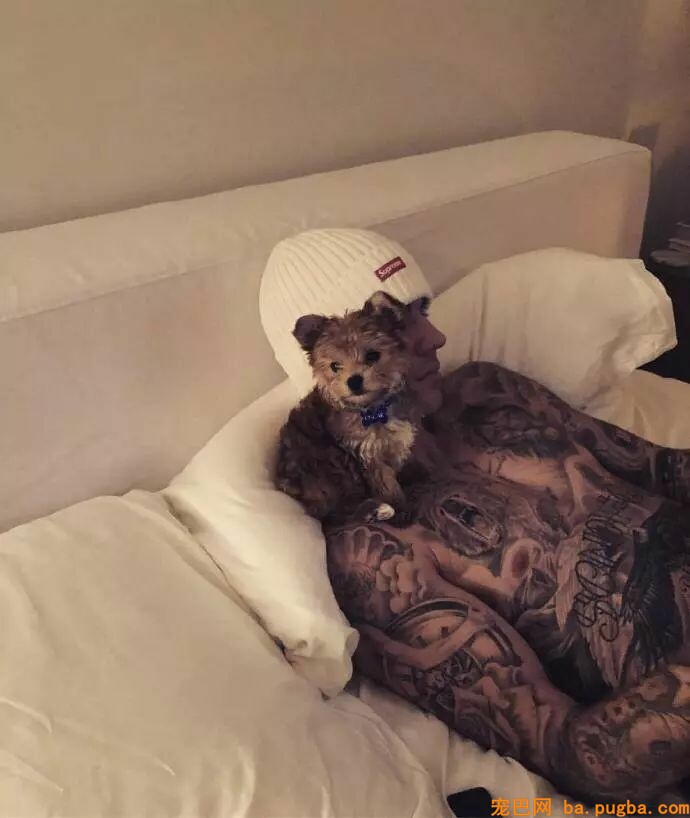 妈妈遛狗vs爸爸遛狗哈哈哈哈哈哈哈果然不能让爹带孩子！-8.jpeg