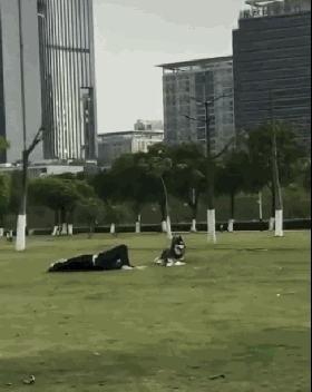 妈妈遛狗vs爸爸遛狗哈哈哈哈哈哈哈果然不能让爹带孩子！-12.gif