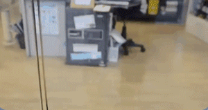 为了便利自家柴犬上班，店长创造了全球首个神奇的设计...-3.gif