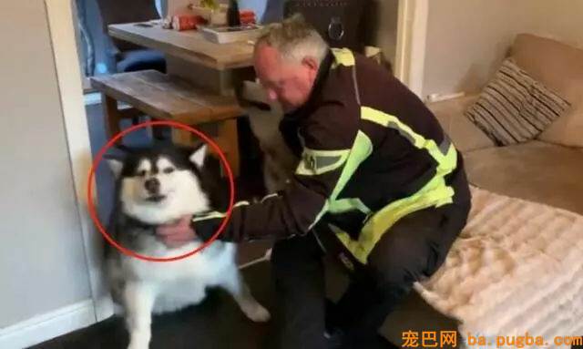 爷爷来看望狗狗，只因没带肉干狗狗竟秒变脸……-5.jpg