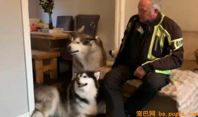 爷爷来看望狗狗，只因没带肉干狗狗竟秒变脸……-3.jpg