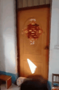 主人出嫁，狗狗两次堵门不让新郎进：妈妈我真的舍不得你...-3.gif
