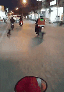 狗狗被抛弃后在车流中疯狂追逐主人：你怎么舍得扔下我...-3.gif