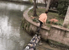 遇见你们，是漂泊狗困难生活中最幸运的事！-6.gif