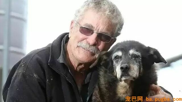 让狗狗“长命百岁”的机密竟然这么简单-1.jpeg