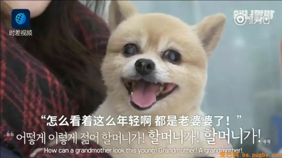 让狗狗“长命百岁”的机密竟然这么简单-4.jpeg