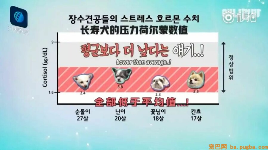 让狗狗“长命百岁”的机密竟然这么简单-8.jpeg
