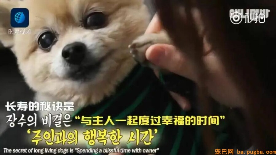 让狗狗“长命百岁”的机密竟然这么简单-10.jpeg