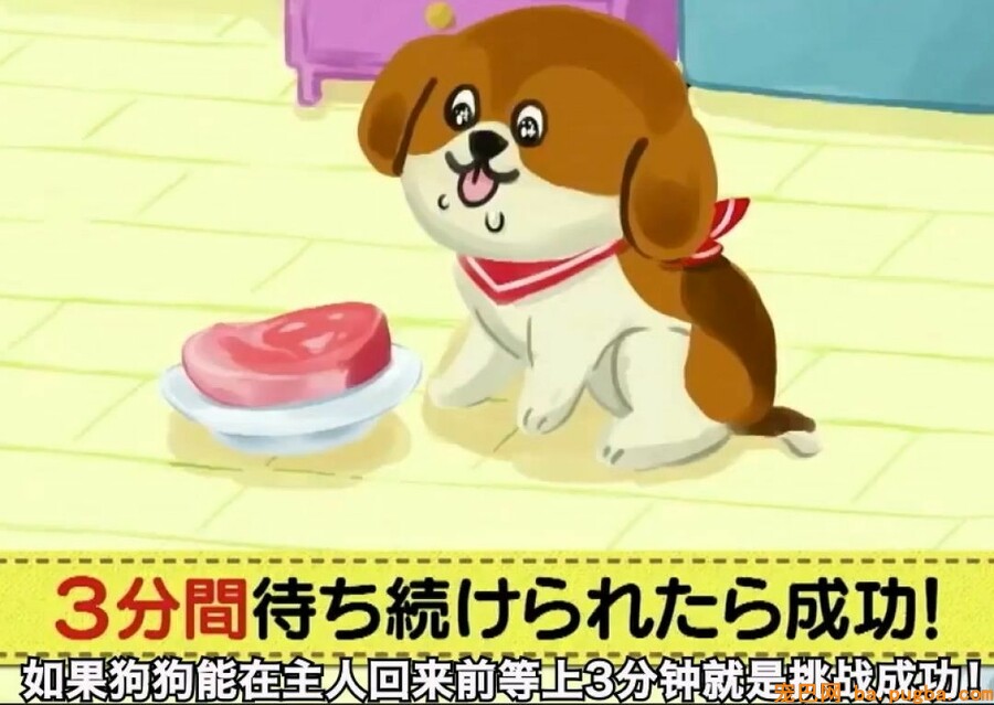 狗狗面前摆一盘高级牛肉，你猜它会不会偷吃？拉布拉多的表示超让人不测！-4.jpeg
