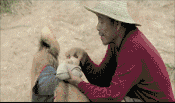 秦始皇一统中原时，手里不竭牵着它-6.gif