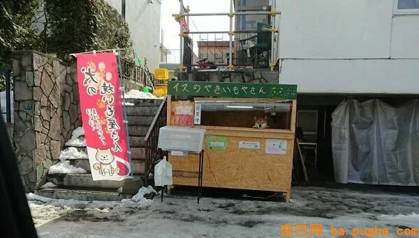 去买烤红薯，成果被老板萌到了，这家伙还很傲娇：请自备零钱！-1.jpeg