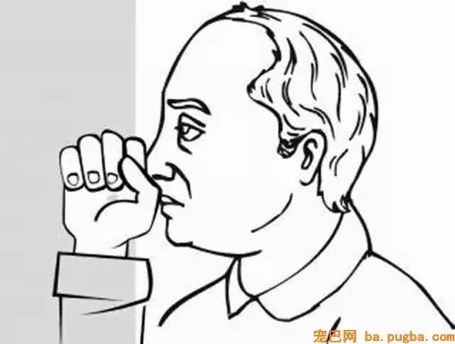 狗狗歪头并不是为了卖萌，真实原因令人打动……-5.jpeg
