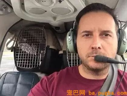 即将被安乐死的大白熊犬，遇到了一位开着飞机来拯救它的英雄！-2.jpeg