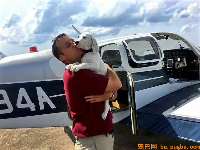 即将被安乐死的大白熊犬，遇到了一位开着飞机来拯救它的英雄！-11.jpeg