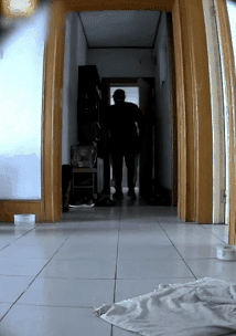 小偷4次进入家中盗窃，狗狗见了开心摇尾：你又来啦？-1.gif