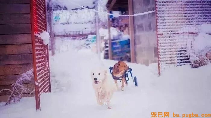 女子辞去年薪百万的工作并变卖全部身家，只为给漂泊的孩子一个家-8.jpeg