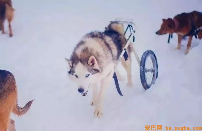 女子辞去年薪百万的工作并变卖全部身家，只为给漂泊的孩子一个家-16.jpeg
