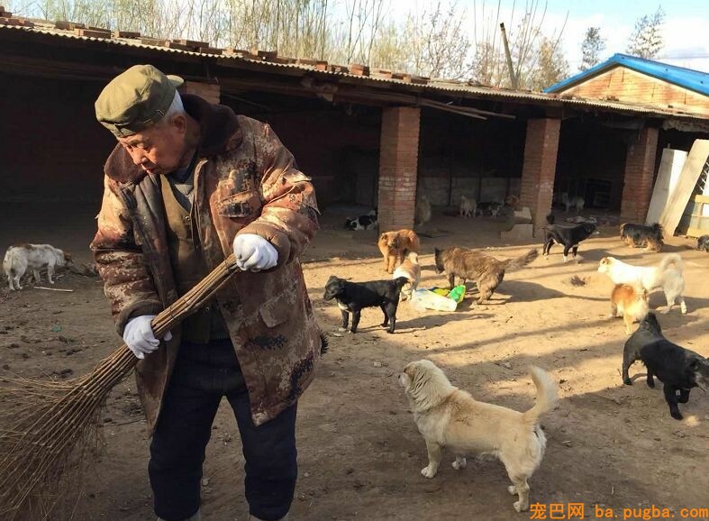 曾刷爆“朋友圈”救狗的80岁老人，这一次却面临"无家可归"...-4.jpeg