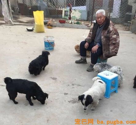 曾刷爆“朋友圈”救狗的80岁老人，这一次却面临"无家可归"...-6.jpeg