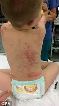 狗狗发现小主人误入烘干机，它下一秒的行为让全家人都感激！-4.jpeg