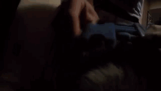 主人给狗狗身上配了一个Gopro，才发现它的一天是这样度过的……-1.gif