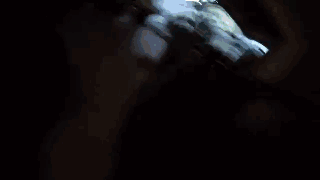 主人给狗狗身上配了一个Gopro，才发现它的一天是这样度过的……-15.gif