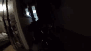主人给狗狗身上配了一个Gopro，才发现它的一天是这样度过的……-16.gif