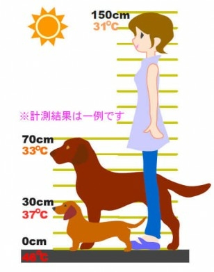 熱中症-308x391.jpg
