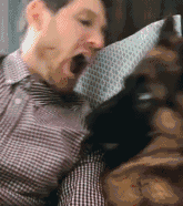 德牧才是假正经，你都不知道它回到家是啥鬼样子！-8.gif