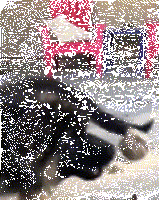 德牧才是假正经，你都不知道它回到家是啥鬼样子！-10.gif