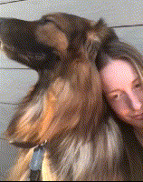 德牧才是假正经，你都不知道它回到家是啥鬼样子！-15.gif