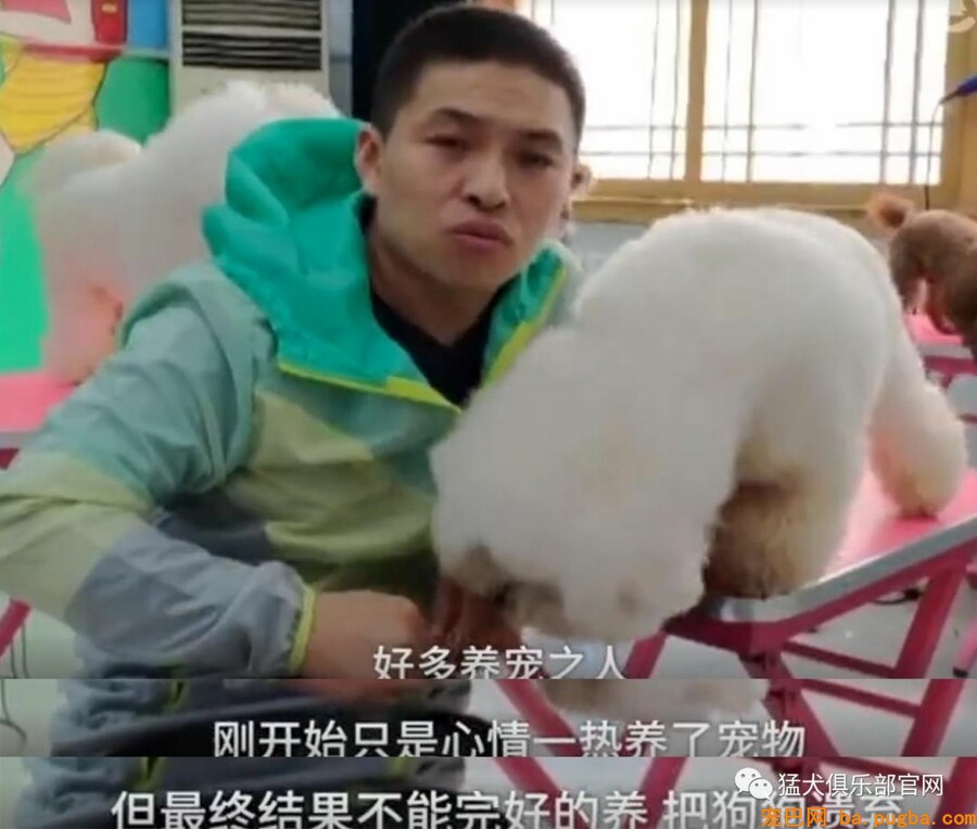 共享宠物供人取乐，美其名曰关注漂泊狗？不好意思这波操作我看不懂-1.jpeg