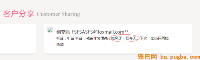 共享宠物供人取乐，美其名曰关注漂泊狗？不好意思这波操作我看不懂-7.png