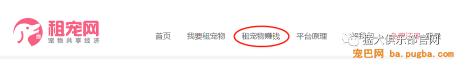 共享宠物供人取乐，美其名曰关注漂泊狗？不好意思这波操作我看不懂-5.png