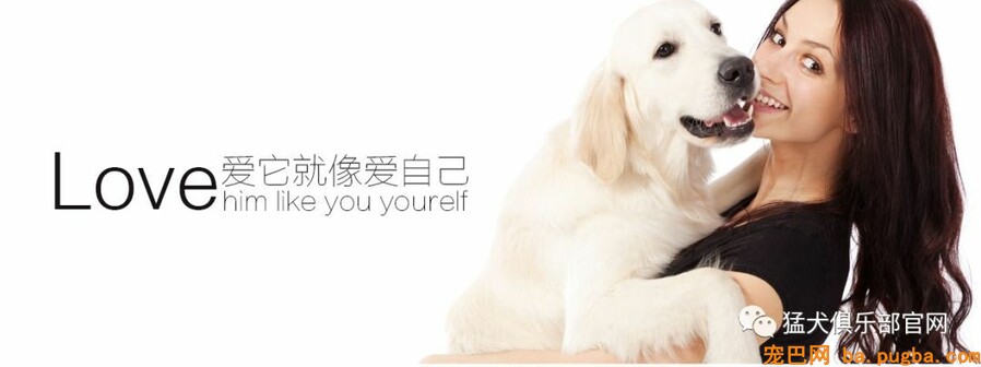 共享宠物供人取乐，美其名曰关注漂泊狗？不好意思这波操作我看不懂-6.jpeg