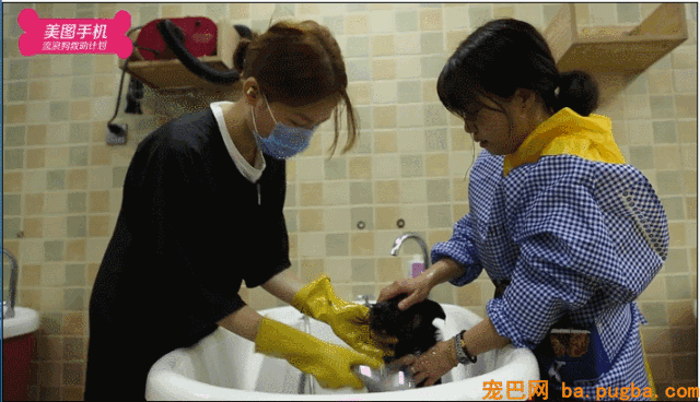 不要瞧不起漂泊狗，它们一点儿都不丑！-21.gif