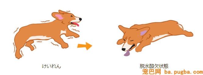 original (1).png
