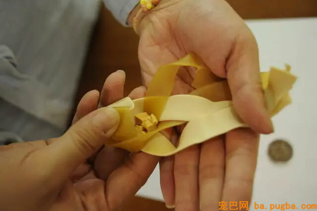 主人惩罚二哈舔下柠檬，二哈酸到腿都不听使唤了...-9.jpg