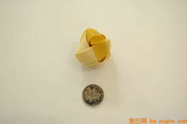 主人惩罚二哈舔下柠檬，二哈酸到腿都不听使唤了...-8.jpg