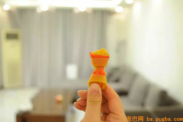 主人惩罚二哈舔下柠檬，二哈酸到腿都不听使唤了...-11.jpg