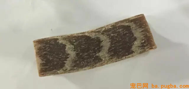 主人惩罚二哈舔下柠檬，二哈酸到腿都不听使唤了...-18.jpg