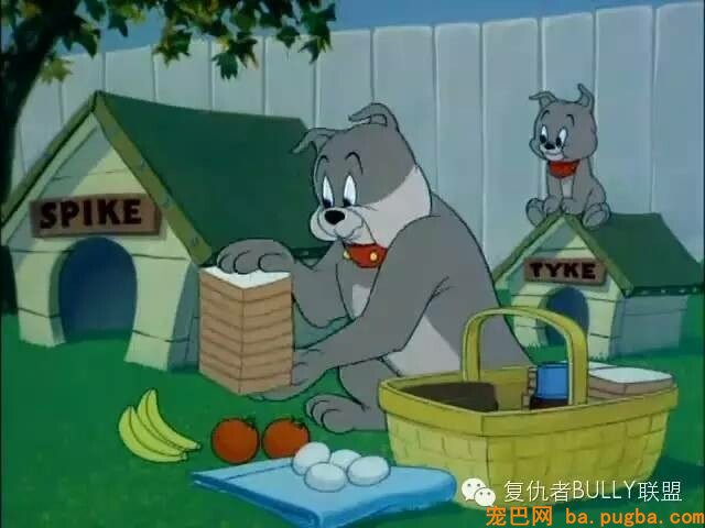 恶霸犬的由来-4.jpeg